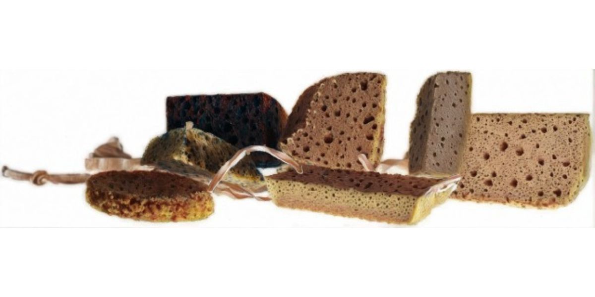 Natural Volcanic Stone: Discover the Marvels of Pumice Stone